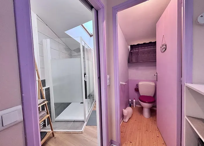 Le Céleste Châtel-Guyon